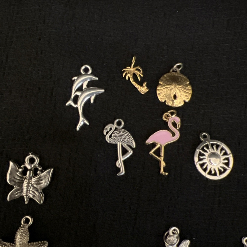 Mixed Charm Lot Jewelry Animals Beach Tropical Paris Fairy Cruise Ship Craft Lot - Picture 13 of 16